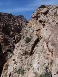 lower eardley 4-28-07 014.jpg