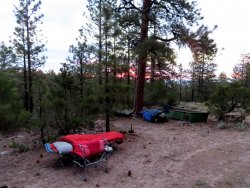 IMG_2071.JPG IMG_2071.JPG