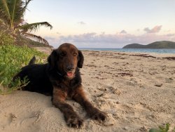 9AFADCF1-EBA7-4DDE-A5F2-5A803E17947F.jpeg 9AFADCF1-EBA7-4DDE-A5F2-5A803E17947F.jpeg