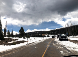 Screen Shot 2020-06-02 at 4.02.54 PM.png