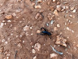 IMG_3134.jpg IMG_3134.jpg