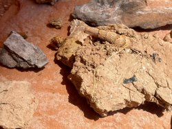 IMG_3448.jpg IMG_3448.jpg