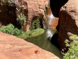 IMG_3464.jpg IMG_3464.jpg