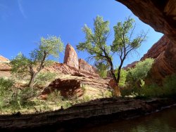 IMG_3526.jpg IMG_3526.jpg