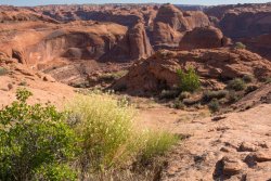 That Famous Gulch 5-20200033.jpg That Famous Gulch 5-20200033.jpg