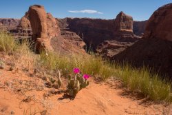 That Famous Gulch 5-20200040.jpg That Famous Gulch 5-20200040.jpg