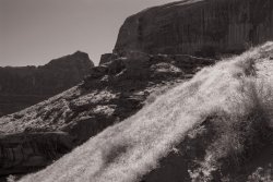 That Famous Gulch 5-20200063-bw.jpg That Famous Gulch 5-20200063-bw.jpg