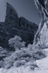 That Famous Gulch 5-20200080-bw.jpg That Famous Gulch 5-20200080-bw.jpg