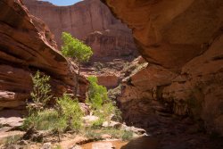 That Famous Gulch 5-20200092.jpg That Famous Gulch 5-20200092.jpg