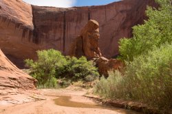 That Famous Gulch 5-20200132.jpg That Famous Gulch 5-20200132.jpg