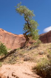 That Famous Gulch 5-20200140.jpg That Famous Gulch 5-20200140.jpg