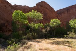 That Famous Gulch 5-20200235.jpg That Famous Gulch 5-20200235.jpg