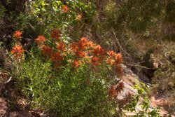 That Famous Gulch 5-20200258.jpg That Famous Gulch 5-20200258.jpg