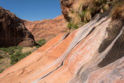 That Famous Gulch 5-20200262.jpg That Famous Gulch 5-20200262.jpg