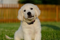 DSC_0690.JPG DSC_0690.JPG