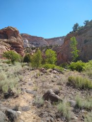 IMG_20200610_101746146.jpg IMG_20200610_101746146.jpg