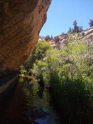 IMG_20200610_112354819.jpg IMG_20200610_112354819.jpg