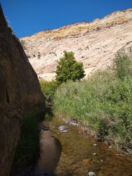 IMG_20200610_113841771.jpg IMG_20200610_113841771.jpg