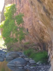 IMG_20200610_115615245.jpg IMG_20200610_115615245.jpg