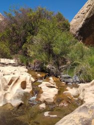 IMG_20200610_124700811.jpg IMG_20200610_124700811.jpg