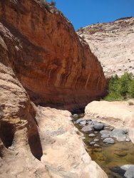 IMG_20200610_125805348.jpg IMG_20200610_125805348.jpg