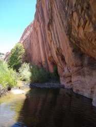 IMG_20200610_130116675.jpg IMG_20200610_130116675.jpg