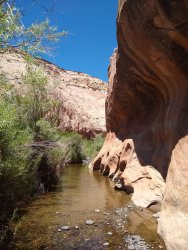 IMG_20200610_130552643.jpg IMG_20200610_130552643.jpg