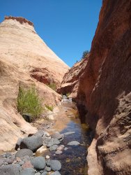 IMG_20200610_131657268.jpg IMG_20200610_131657268.jpg