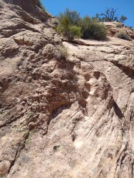 IMG_20200610_140443413.jpg IMG_20200610_140443413.jpg