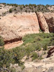 IMG_20200610_140639866.jpg IMG_20200610_140639866.jpg