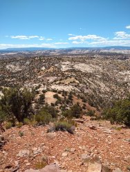 IMG_20200610_155309273.jpg IMG_20200610_155309273.jpg