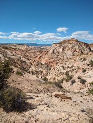 IMG_20200610_160152923.jpg IMG_20200610_160152923.jpg