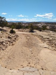 IMG_20200610_162721983.jpg IMG_20200610_162721983.jpg