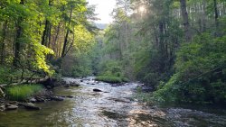 20200616_185446.jpg 20200616_185446.jpg