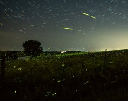 _6170789.jpg _6170789.jpg