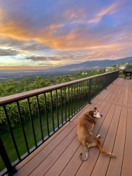 IMG_5925.jpeg IMG_5925.jpeg