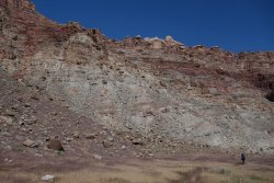 DSC01980 (Copy).jpg DSC01980 (Copy).jpg