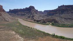 DSC02000 (Copy).jpg DSC02000 (Copy).jpg