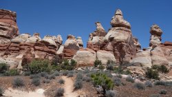 DSC02069 (Copy).jpg DSC02069 (Copy).jpg