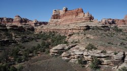 DSC02140 (Copy).jpg DSC02140 (Copy).jpg