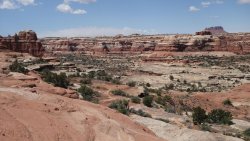 DSC02173 (Copy).jpg DSC02173 (Copy).jpg