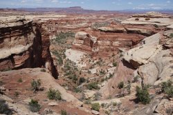 DSC02215 (Copy).jpg DSC02215 (Copy).jpg