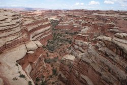 DSC02238 (Copy).jpg DSC02238 (Copy).jpg