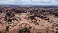 DSC02345 (Copy).jpg DSC02345 (Copy).jpg