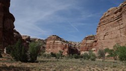 DSC02840 (Copy).jpg DSC02840 (Copy).jpg