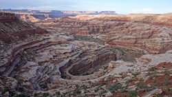 DSC02491 (Copy).jpg DSC02491 (Copy).jpg