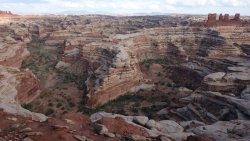 DSC02505 (Copy).jpg DSC02505 (Copy).jpg