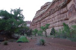 DSC02593 (Copy).jpg DSC02593 (Copy).jpg