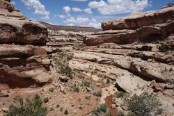 DSC02961 (Copy).jpg DSC02961 (Copy).jpg