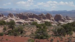 DSC02978 (Copy).jpg DSC02978 (Copy).jpg